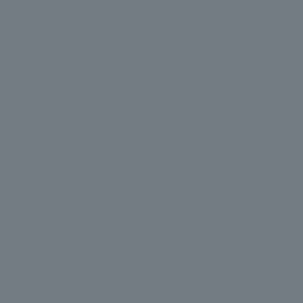 Wolf Gray 2127-40 - Paint Color – Paint Garden
