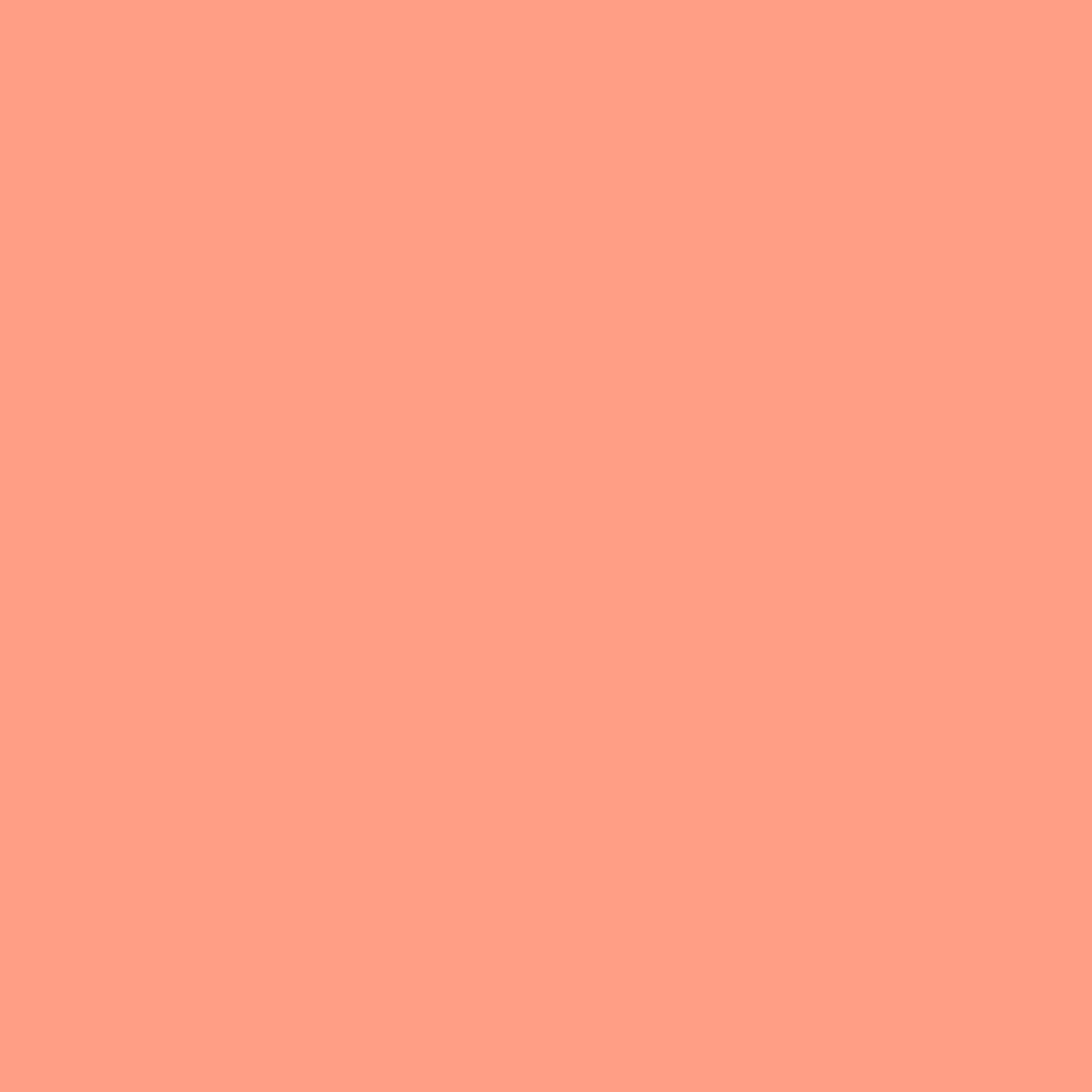 Dusk Pink 2013-40 - Paint Color – Paint Garden