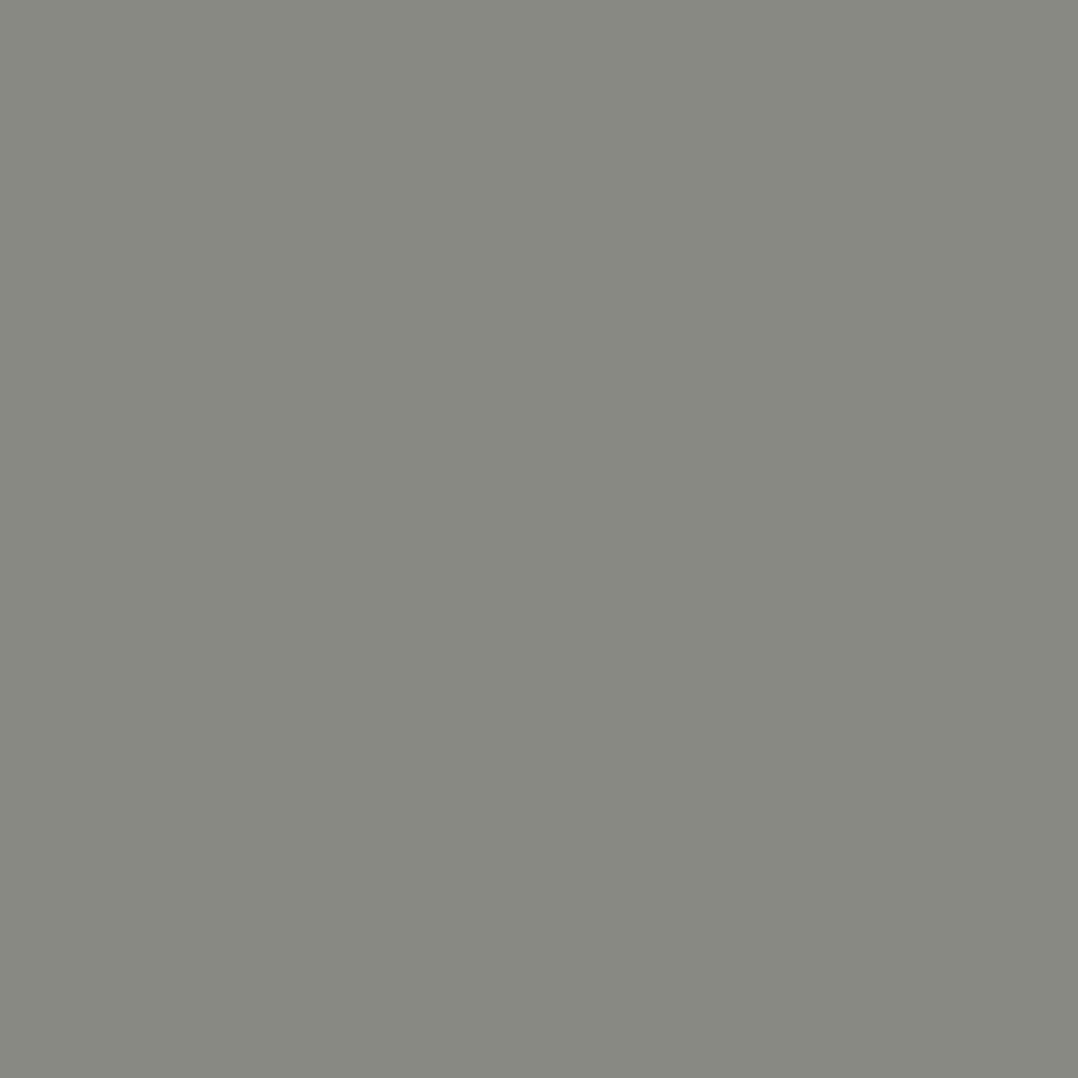Secret AF-710 - Paint Color – Paint Garden