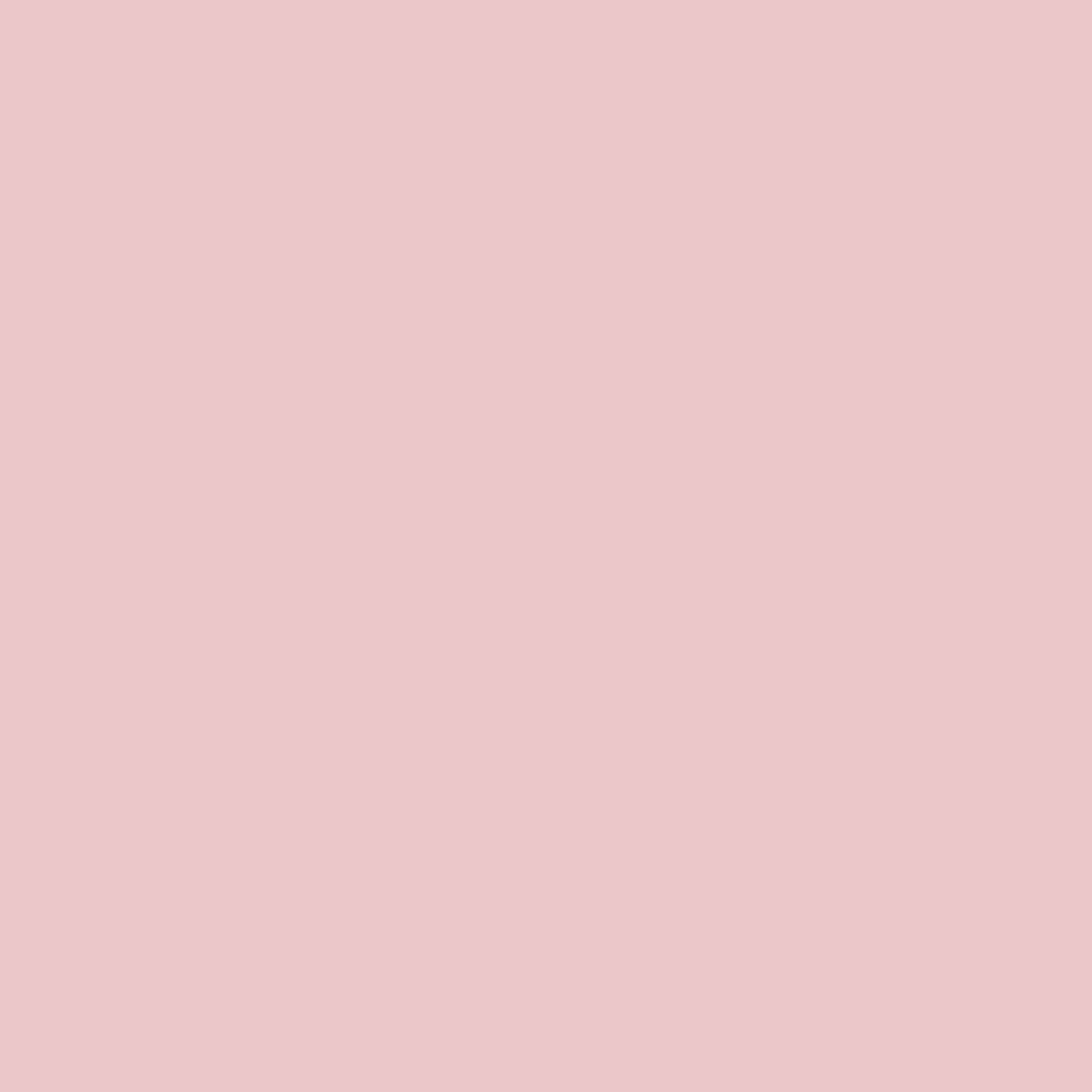 Petunia Pink 1276